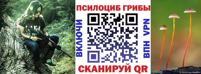Псилоцибиновые грибы GOLDEN TEACHER  Ковров 